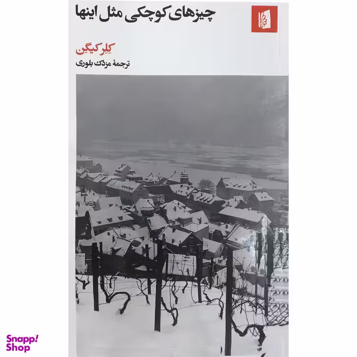 کتاب چيزهاي كوچكي مثل اينها اثر کلر کیگن نشر بیدگل