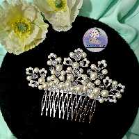 شانه شینیون1