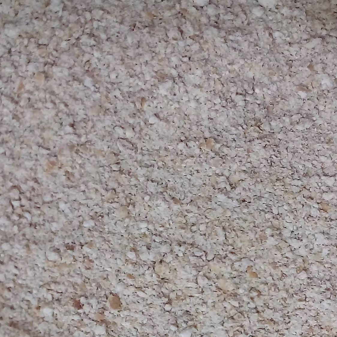 پودر جوانه گندم(1000 گرمی)بهبود دهنده گیاهی سرشار ازاسیدهای چرب سالم فیبر موادمعدنی ویتامین