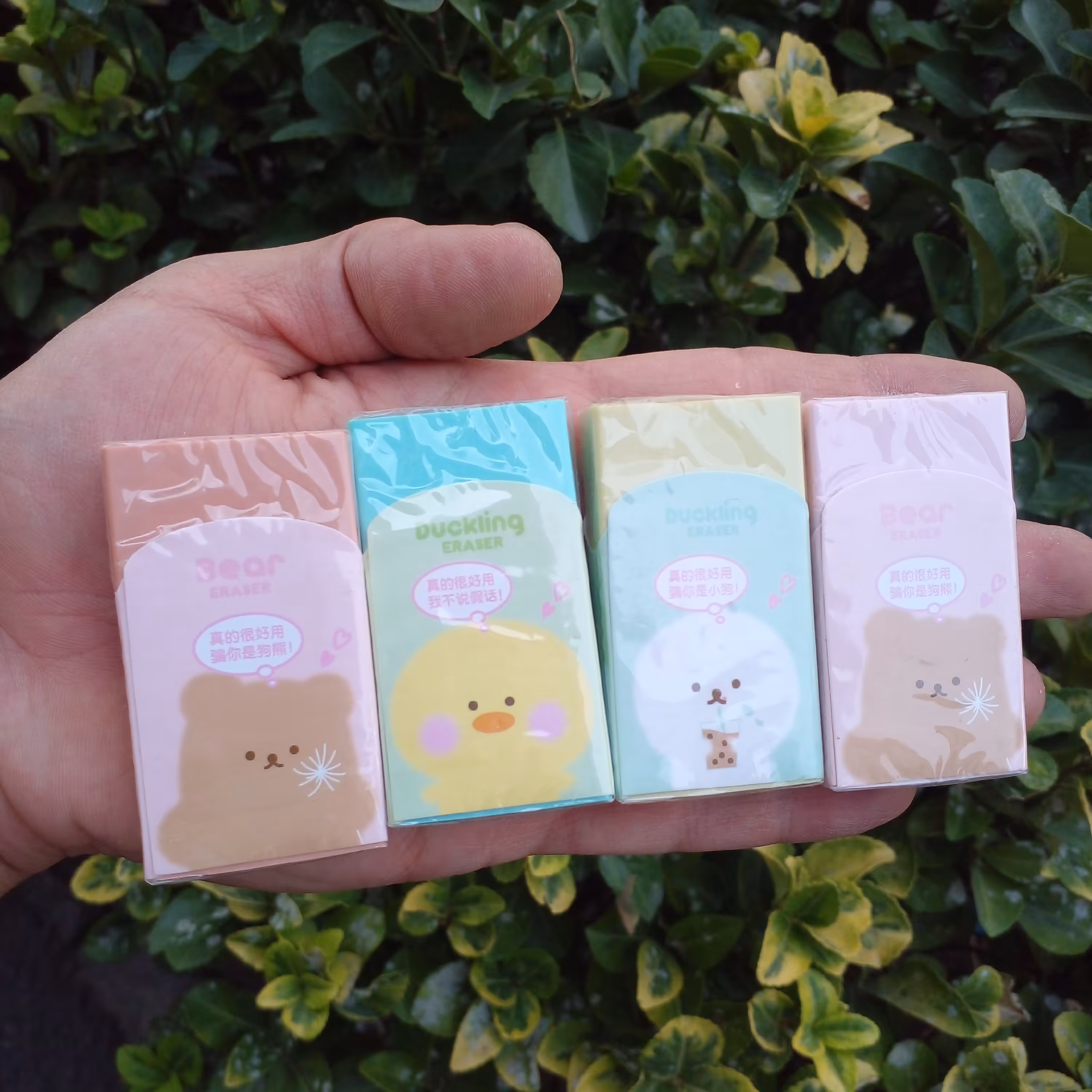 پاکن پاستلی طرح حیوانات در 4 رنگ ( قیمت هر عدد ) 