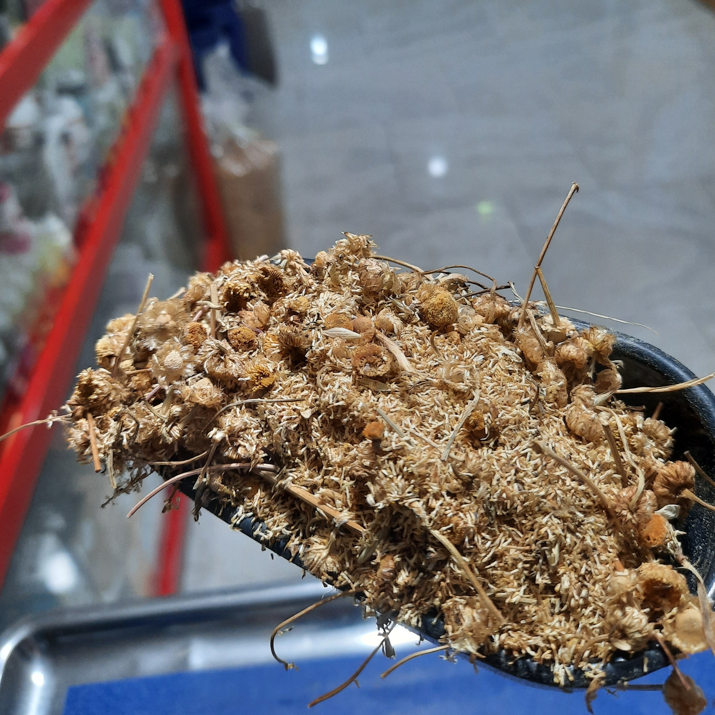 بابونه اردبیلی