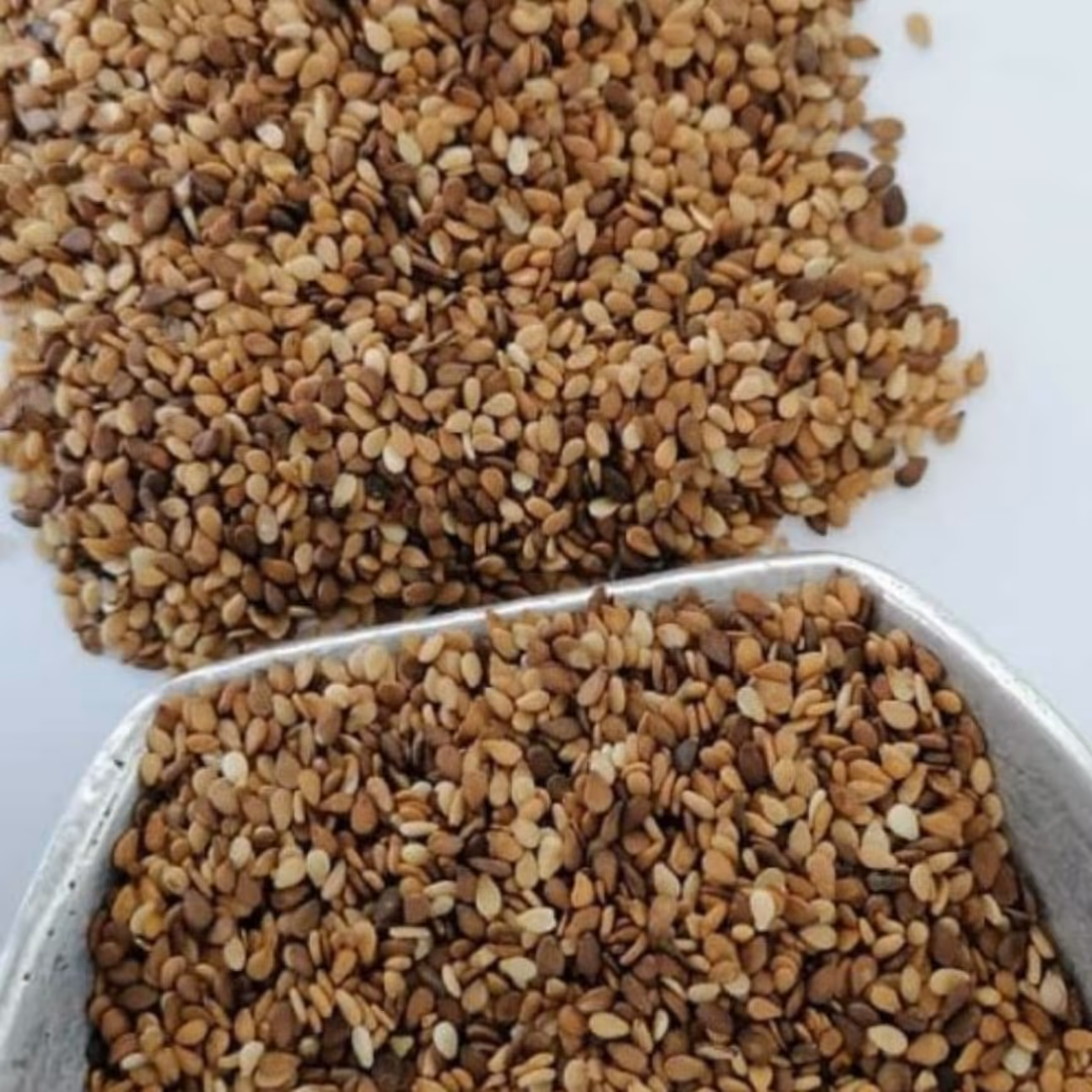 کنجد محلی خام یک کیلویی