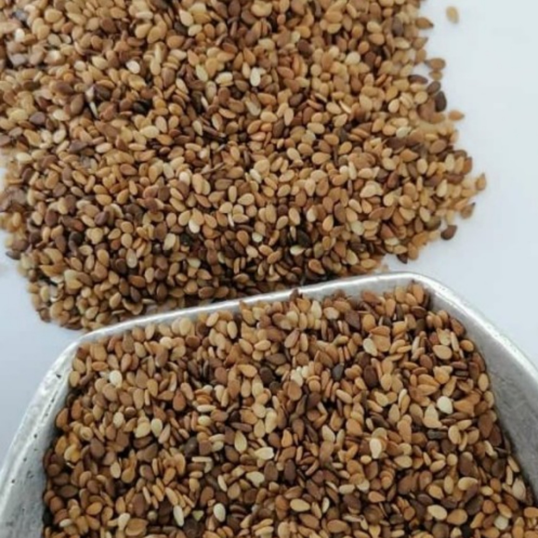 کنجد محلی خام یک کیلویی