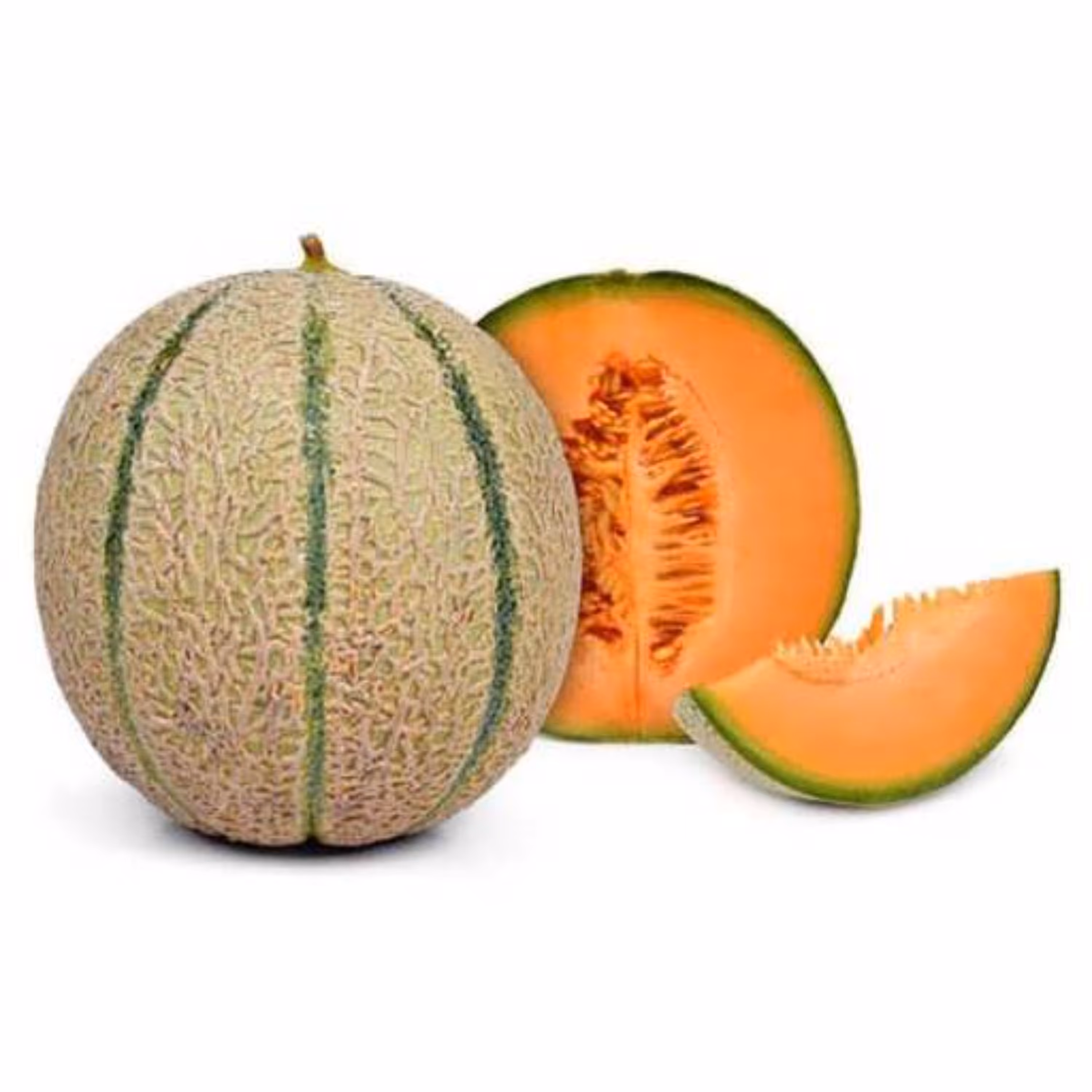 بذر طالبی سمسوری  1 گرمی