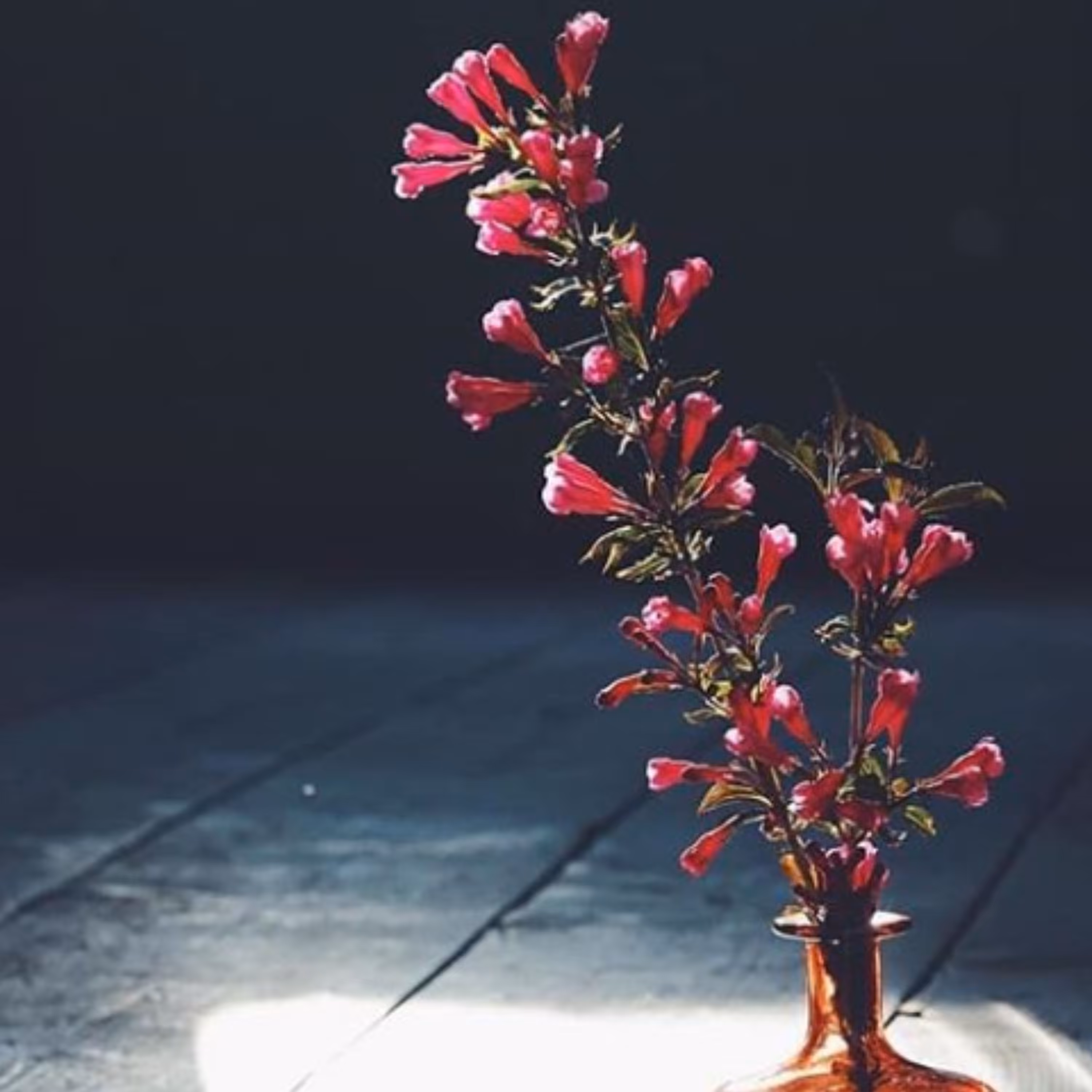 کتاب روش شناسی حکم اثر محمد عرب صالحی نشر پژوهشگاه فرهنگ و اندیشه اسلامی