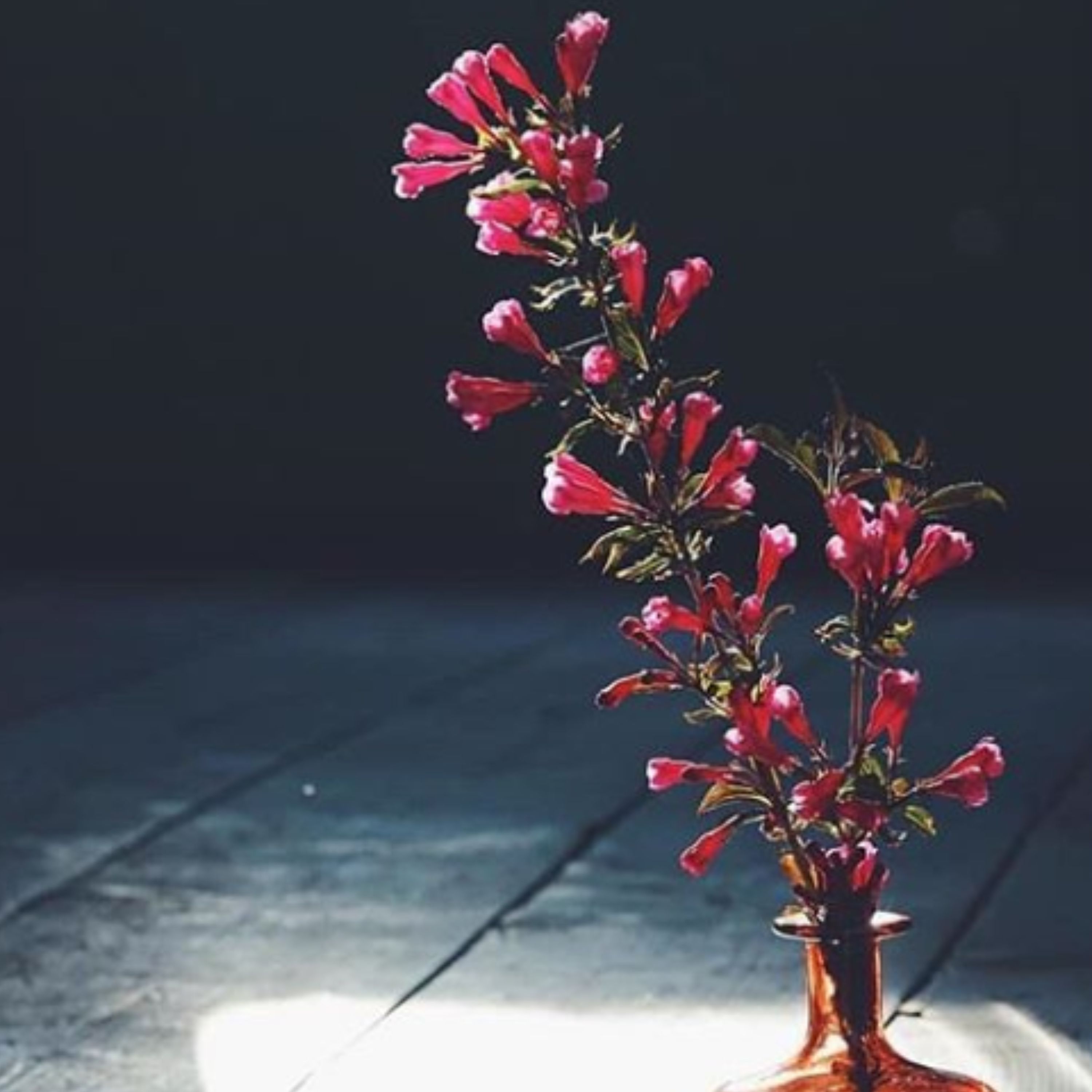 کتاب روش شناسی حکم اثر محمد عرب صالحی نشر پژوهشگاه فرهنگ و اندیشه اسلامی