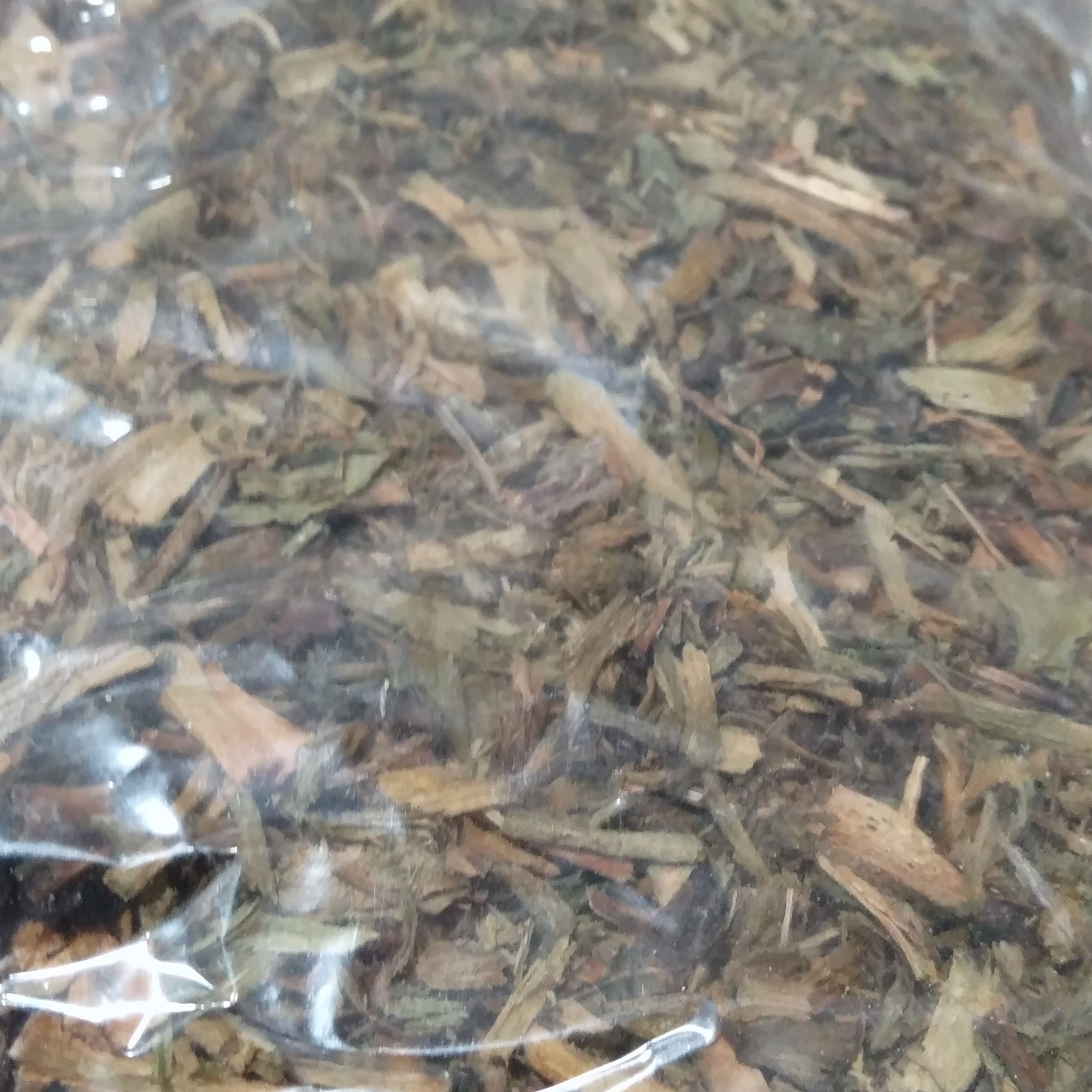 بن سُرخ (بوسور)