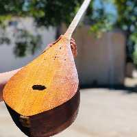 دوتارحرفه ای