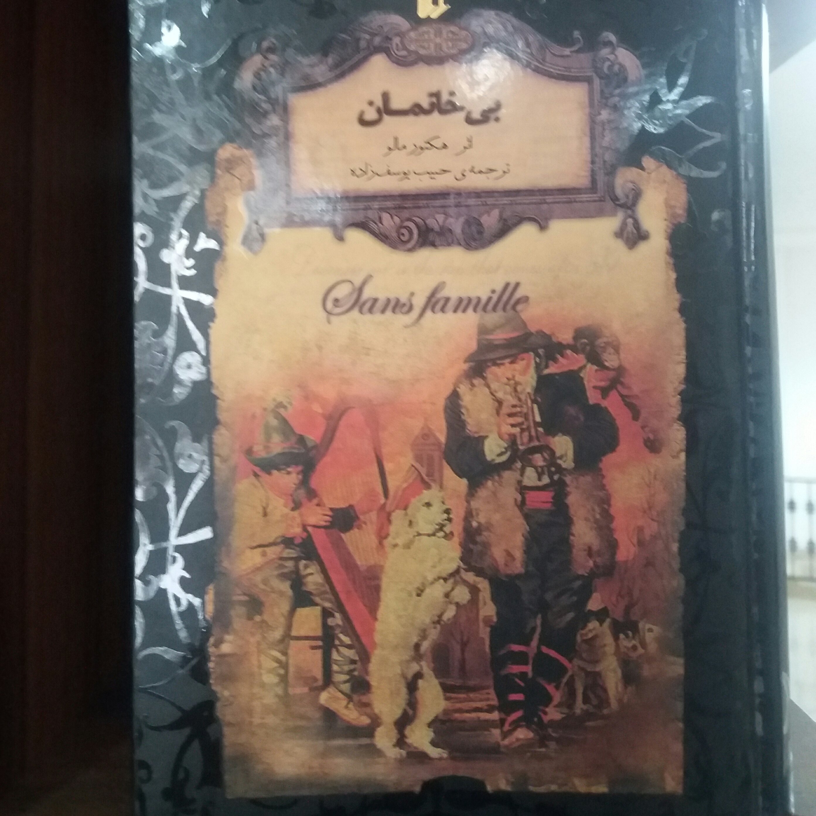 کتاب رمان کلاسیک بی خانمان