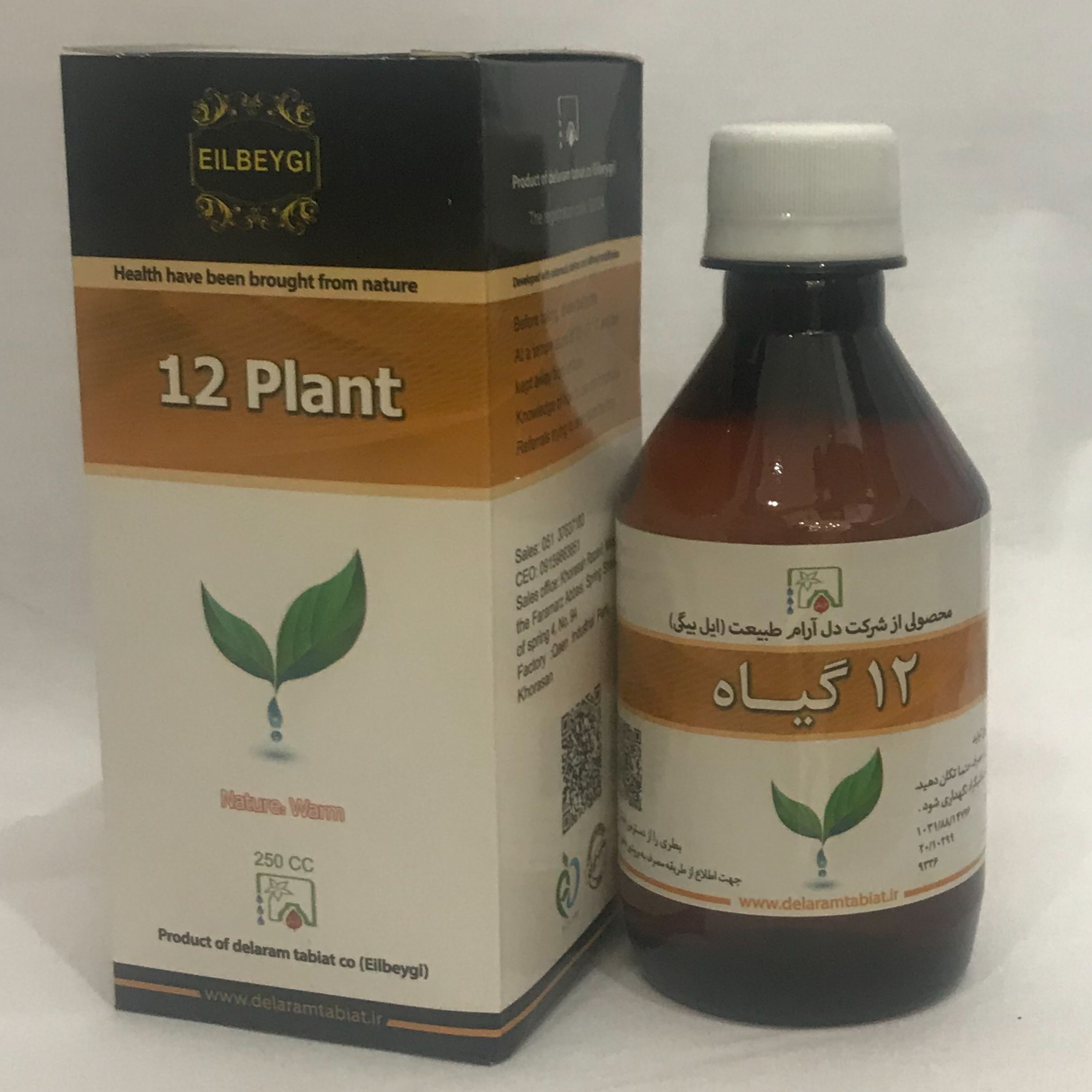 شربت 12 گیاه 250 سی سی کم خونی (ریزش مو )
