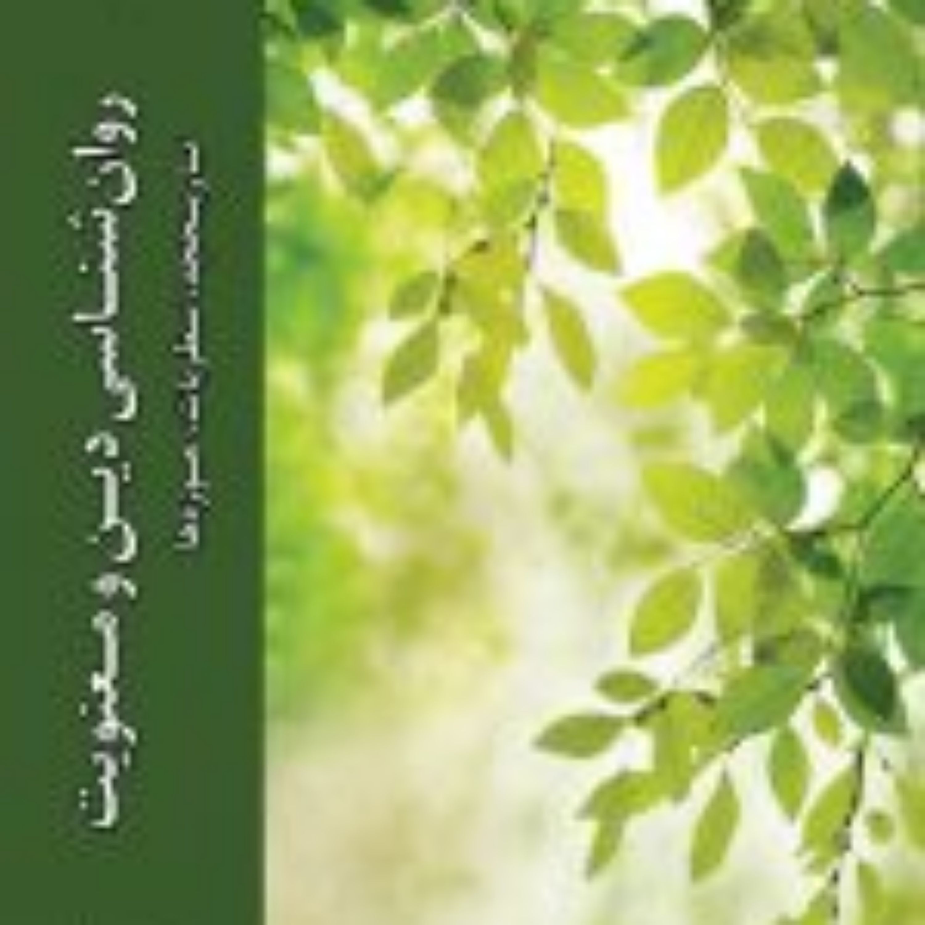 کتاب روان شناسی دین و معنویت تاریخچه نظریات حوزه ها