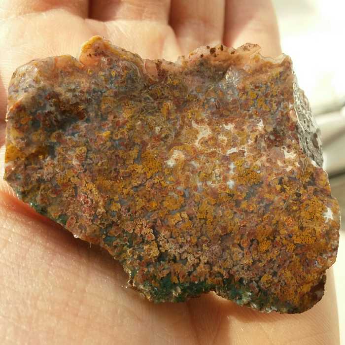 سنگ راف شجر شکوفه 7رنگ بی نظیر 100 در 100 طبیعی شاهکار خلقت خاص و تکرار نشدنی