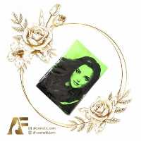 پیش بند استاد کار ( 12 عددی ) 