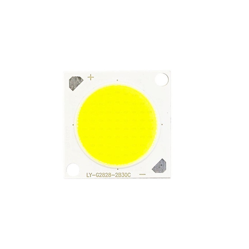 سی او بی 2828 30وات 300میلی آمپر (COB30w)