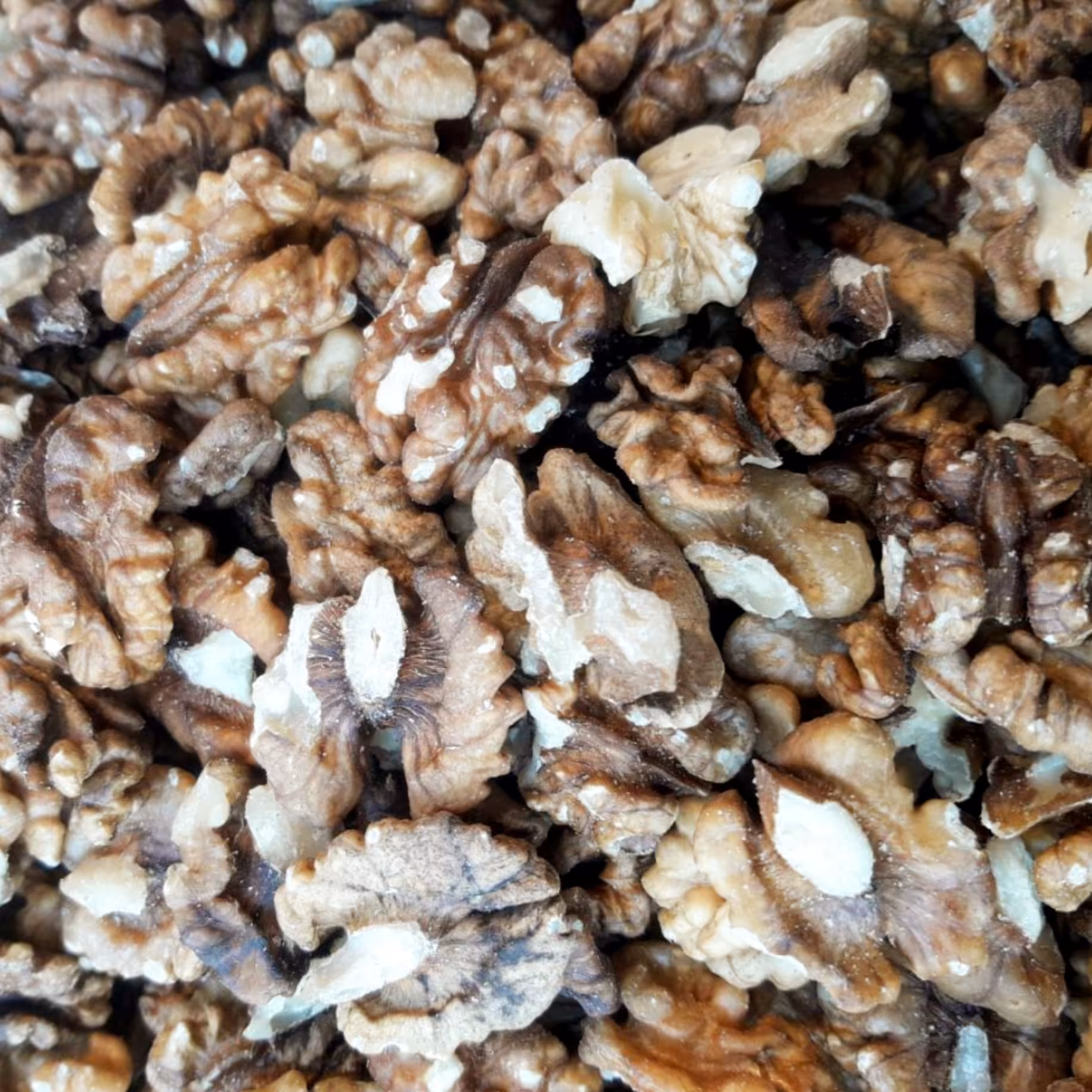 مغز گردوی بلغار شکری