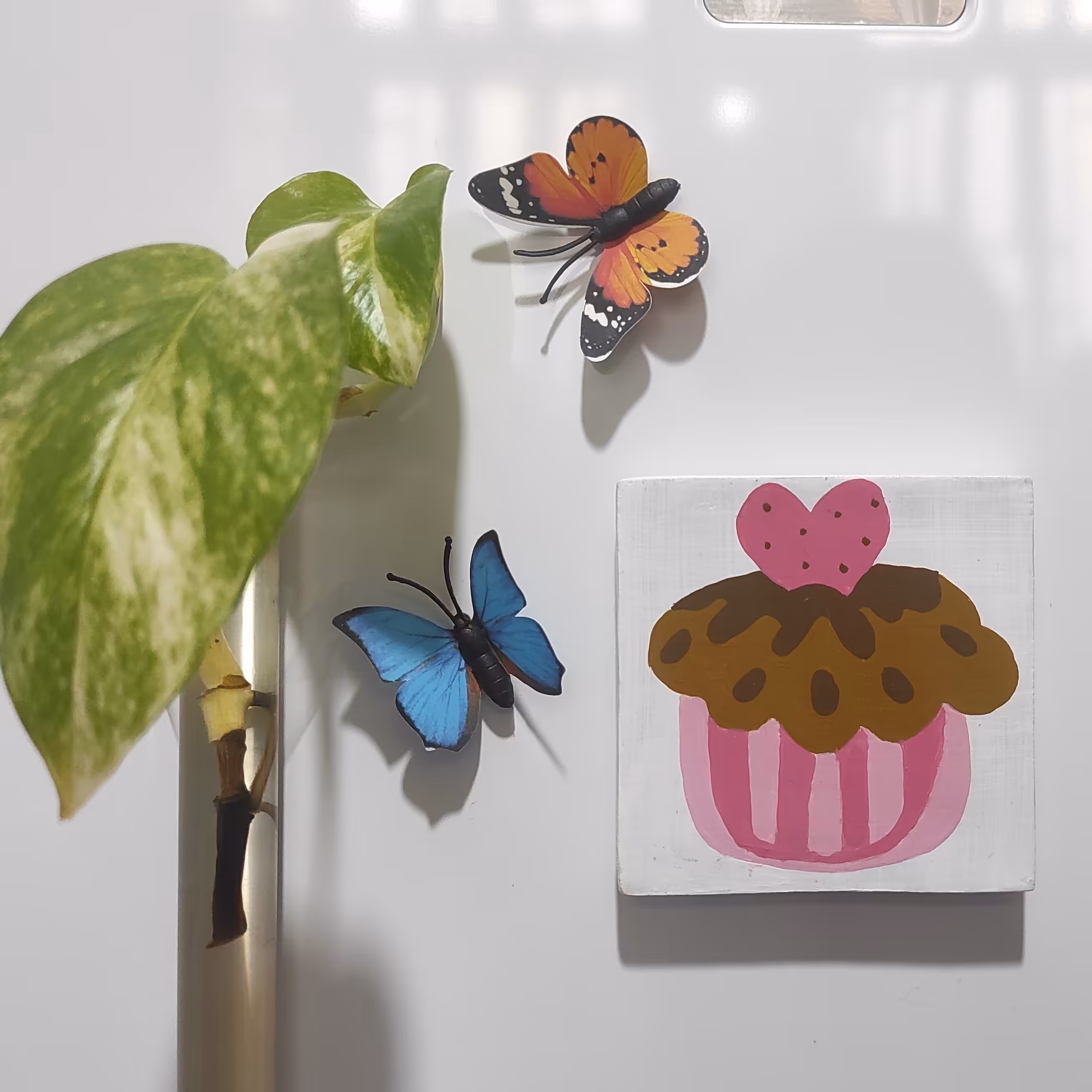 مگنت سفالی4