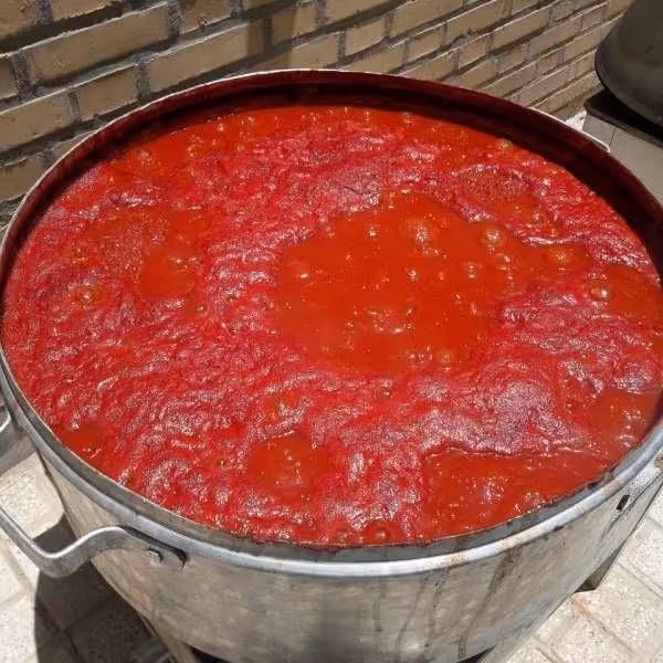 رب گوجه فرنگی ده کیلویی غلیظ و خانگی کاملا بهداشتی و ارگانیک
