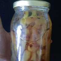 مربای شقاقل