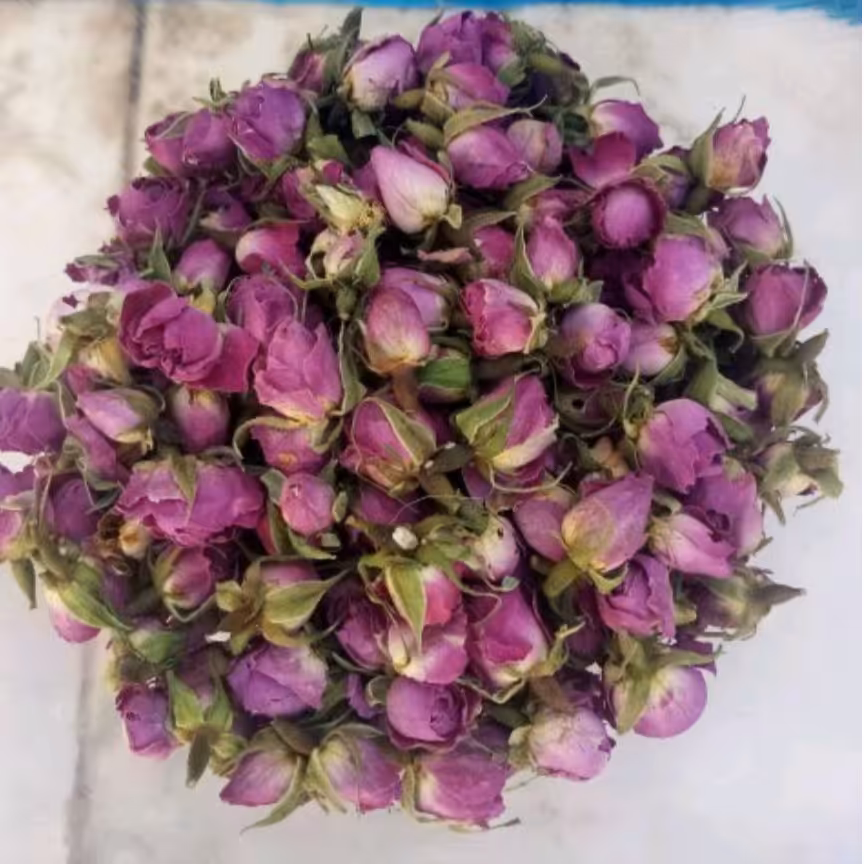 غنچه گل محمدی آرام بخش