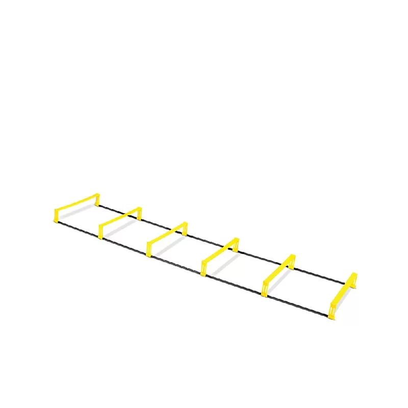 نردبان چابکی دومنظوره payam ( لدر مرتفع ) کد WE-301