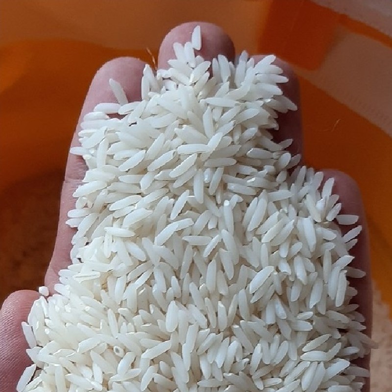 برنج طارم هاشمی کشت اول ( مازندران محمودآباد) ( تضمین کیفیت ) 