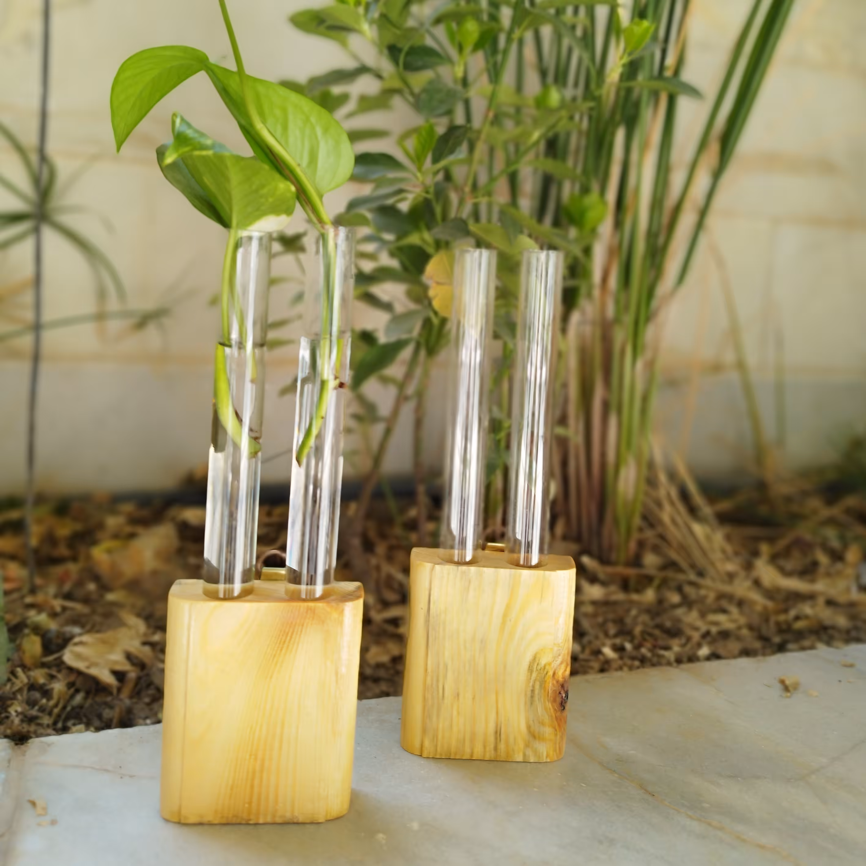 گلدان هیدروپونیک دوتایی چوبی