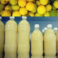 آبلیمو طبیعی خانگی همراه پالپ 