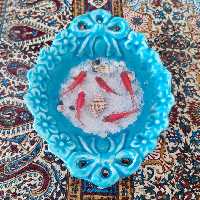 ظرف سفال با 5 ماهی سه بعدی 