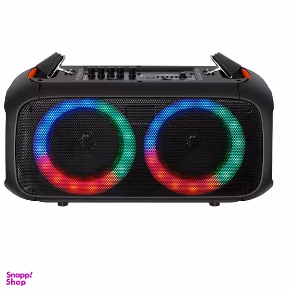 اسپیکر بی سیم بلوتوثی قابل حمل مدل RX-6248