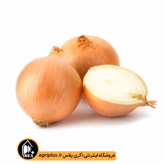 بذر پیاز زرد بسته بندی خانگی