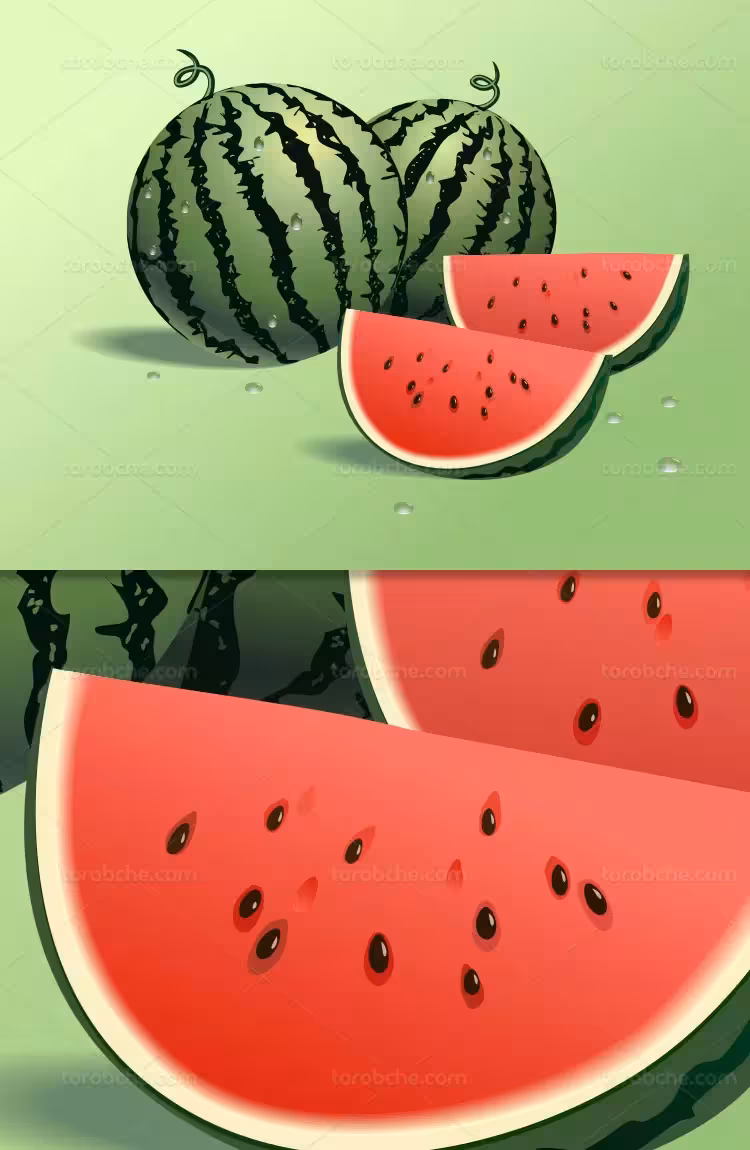 وکتور هندوانه برش خورده | گرافیک با طعم تربچه