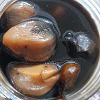 ترشی سیر دون شده سیاه (800گرمی)