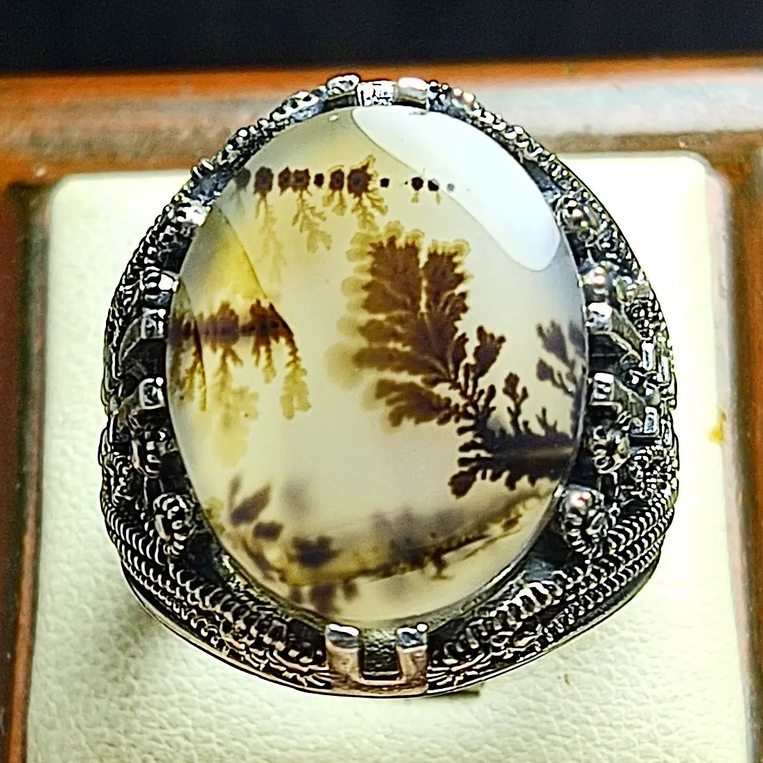 انگشتر نقره شجر تک درخت قاینات زمینه شفاف و روشن تک درخت واضح و پر رنگ شاخ چ و برگ سوزنی 