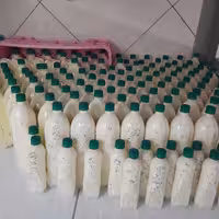 دوغ مشک محلی بدون مواد افزودنی با طعم سنتی هر باکس6 عدد بطری 1.5 لیتری 