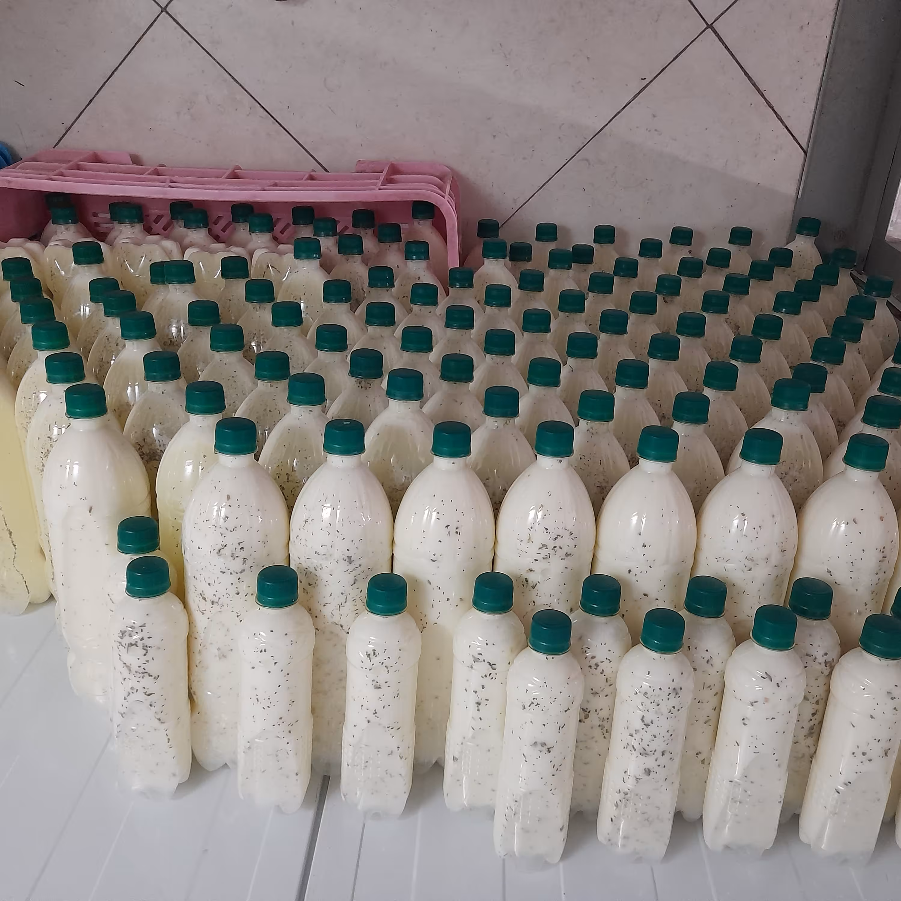 دوغ مشک محلی بدون مواد افزودنی با طعم سنتی هر باکس6 عدد بطری 1.5 لیتری 