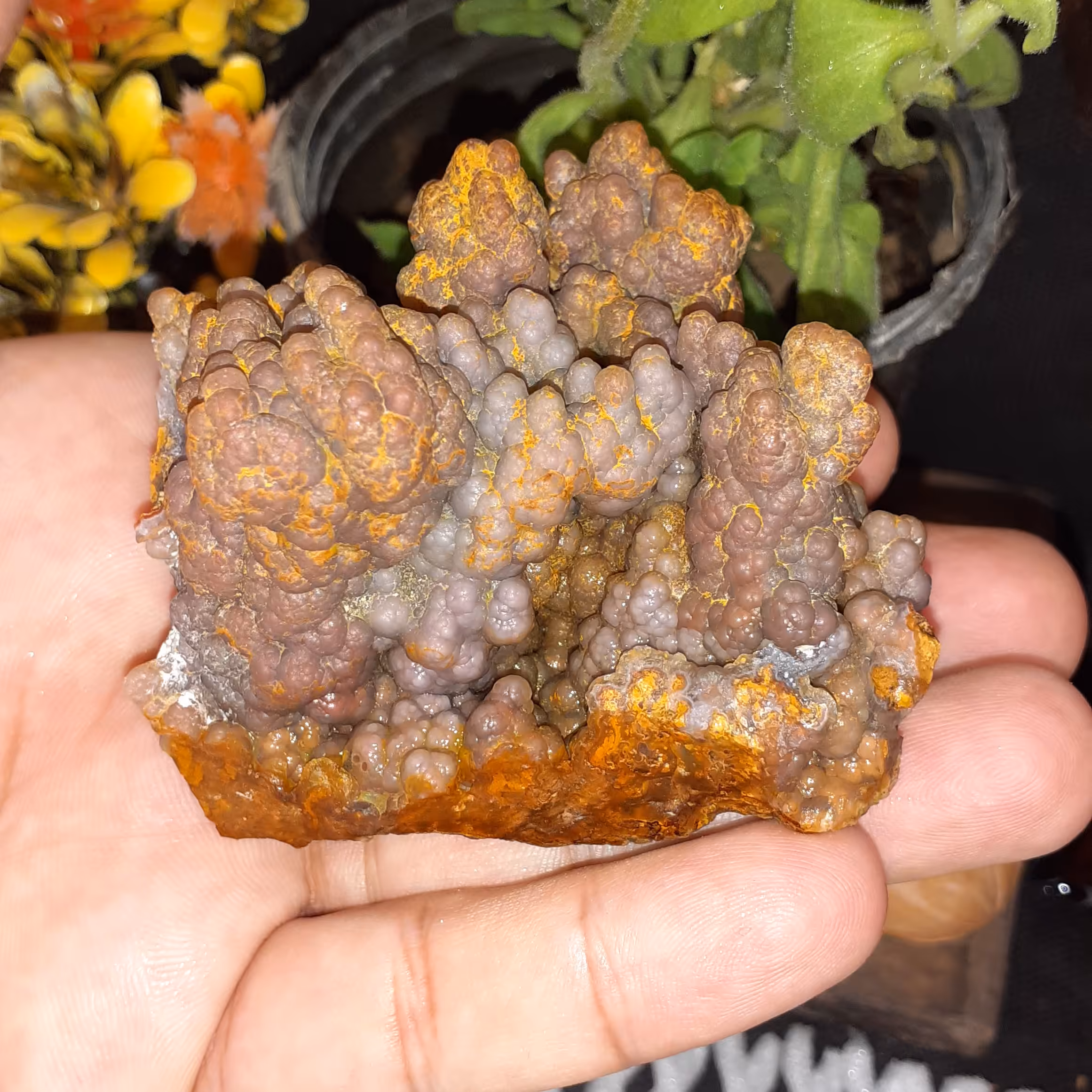 گوهر سنگ کلکسیونی عقیق قندیلی قرمز جذاب وخاص