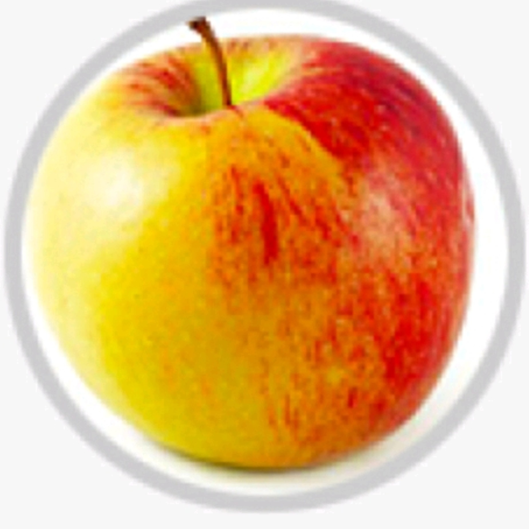 نهال سیب دو رنگ فرانس