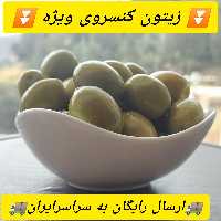 زیتون کنسروی رودبار سایز ویژه
 ( 1 کیلویی) 