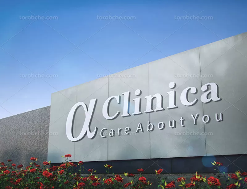 فایل موکاپ لوگو شرکتی با کیفیت | گرافیک با طعم تربچه