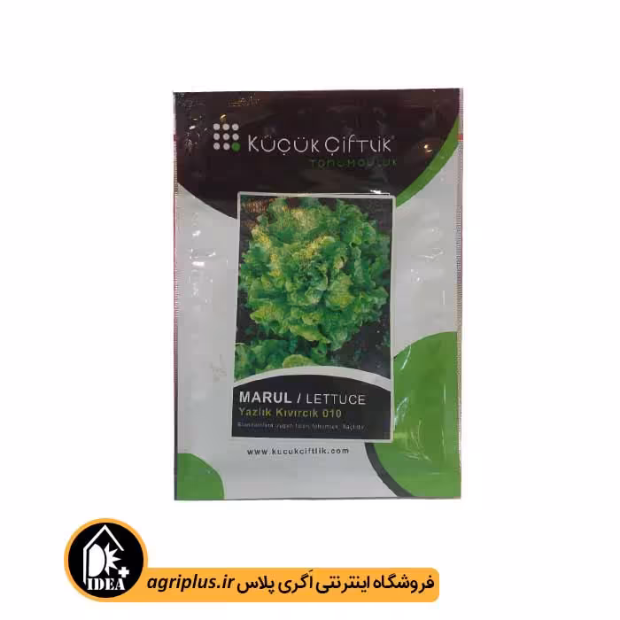 بذر کاهو گرد مجعد ترک
