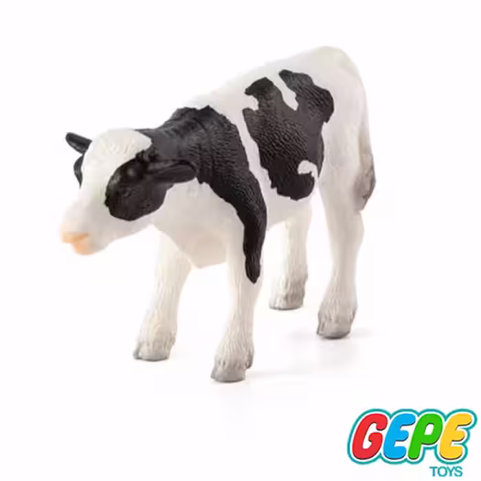 فیگور گوساله هولشتاین ایستاده