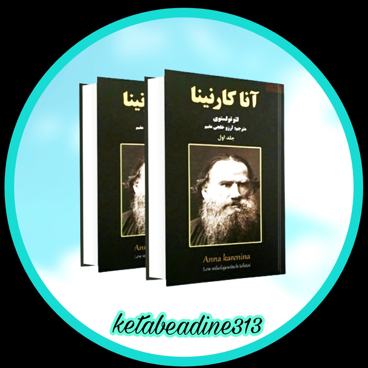 آناکارنینا مجموعه دو جلدی
