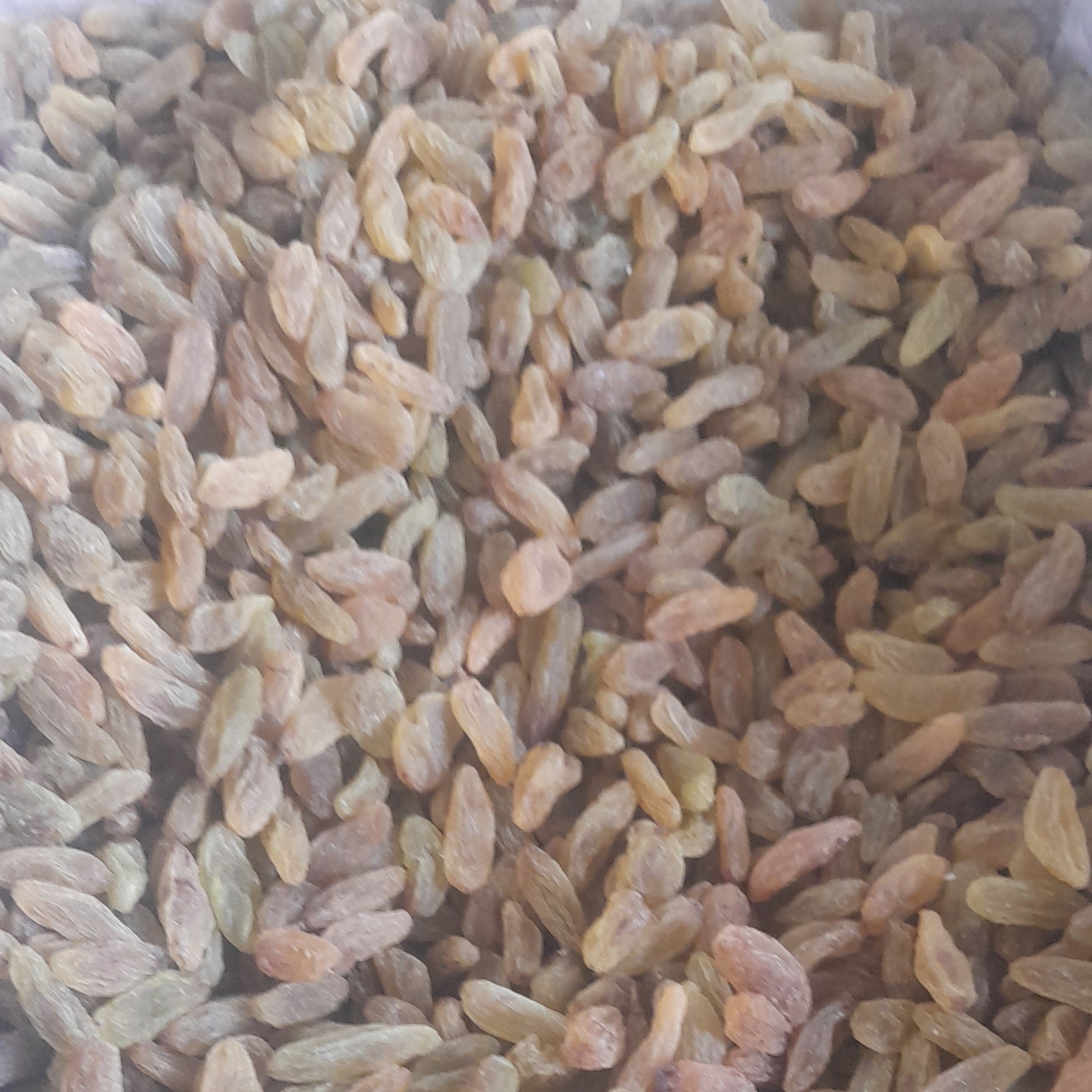 کشمش سبز قلمی اعلا 1000 گرمی