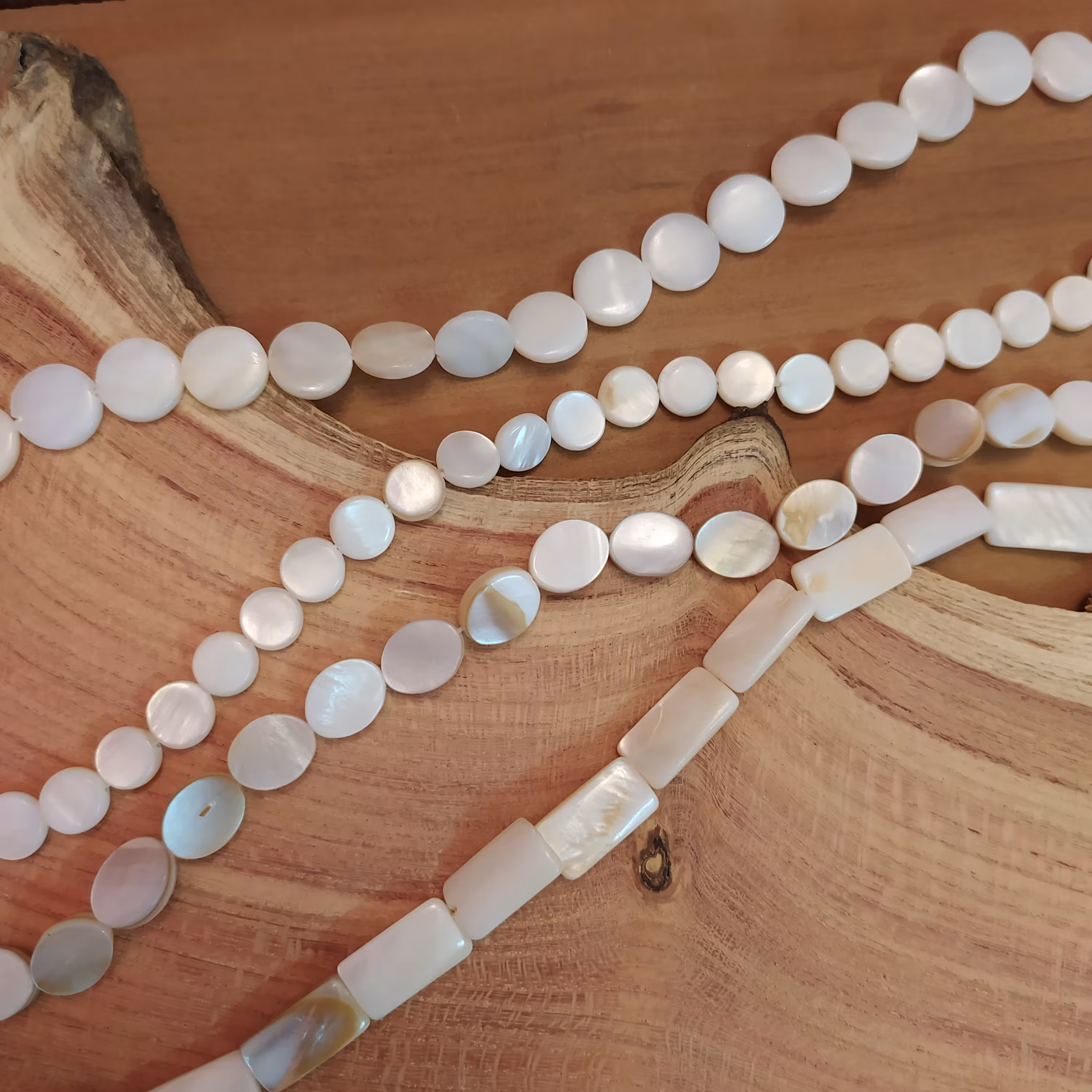 صدف طرح‌دار دایره و بیضی و مستطیل تخت