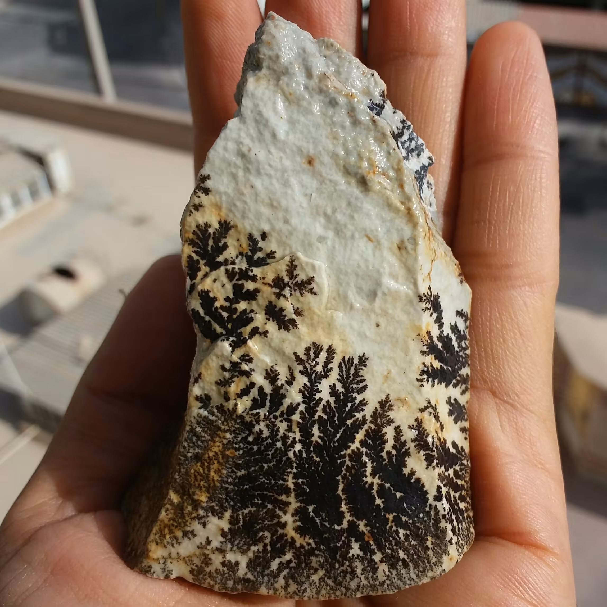 سنگ راف 100 در 100 طبیعی شجر دندریتی یا فسیلی محشر خاص شاهکار خلقت
شجر واضح دیدنی تصویر از چند طرف نمونه خارق العاده