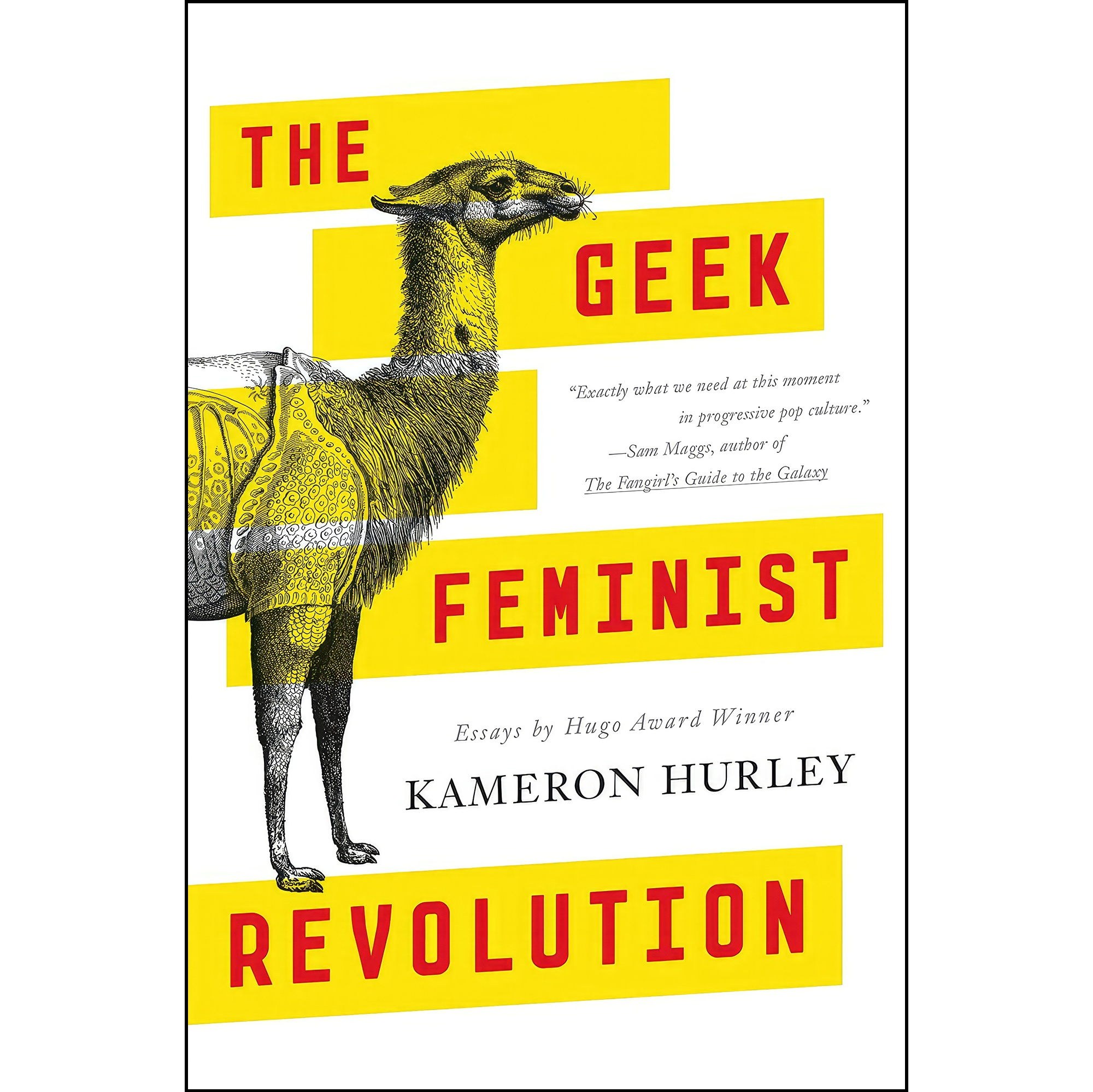 کتاب زبان اصلی The Geek Feminist Revolution اثر Kameron Hurley