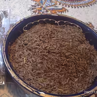 زیره سیاه کوهی اصل وخوش عطررادمهر
