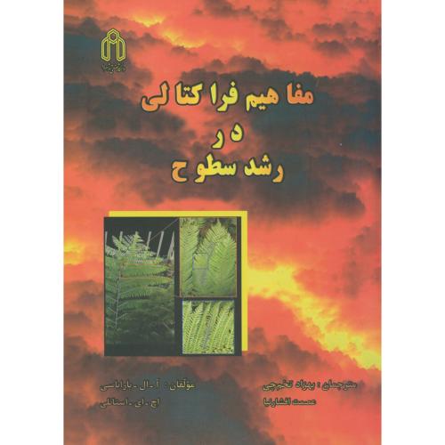 کتاب مفاهیم فراکتالی در رشد سطوح