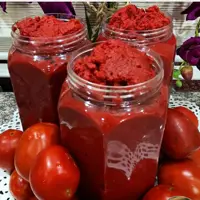 رب گوجه سنتی فدک (800گرم)