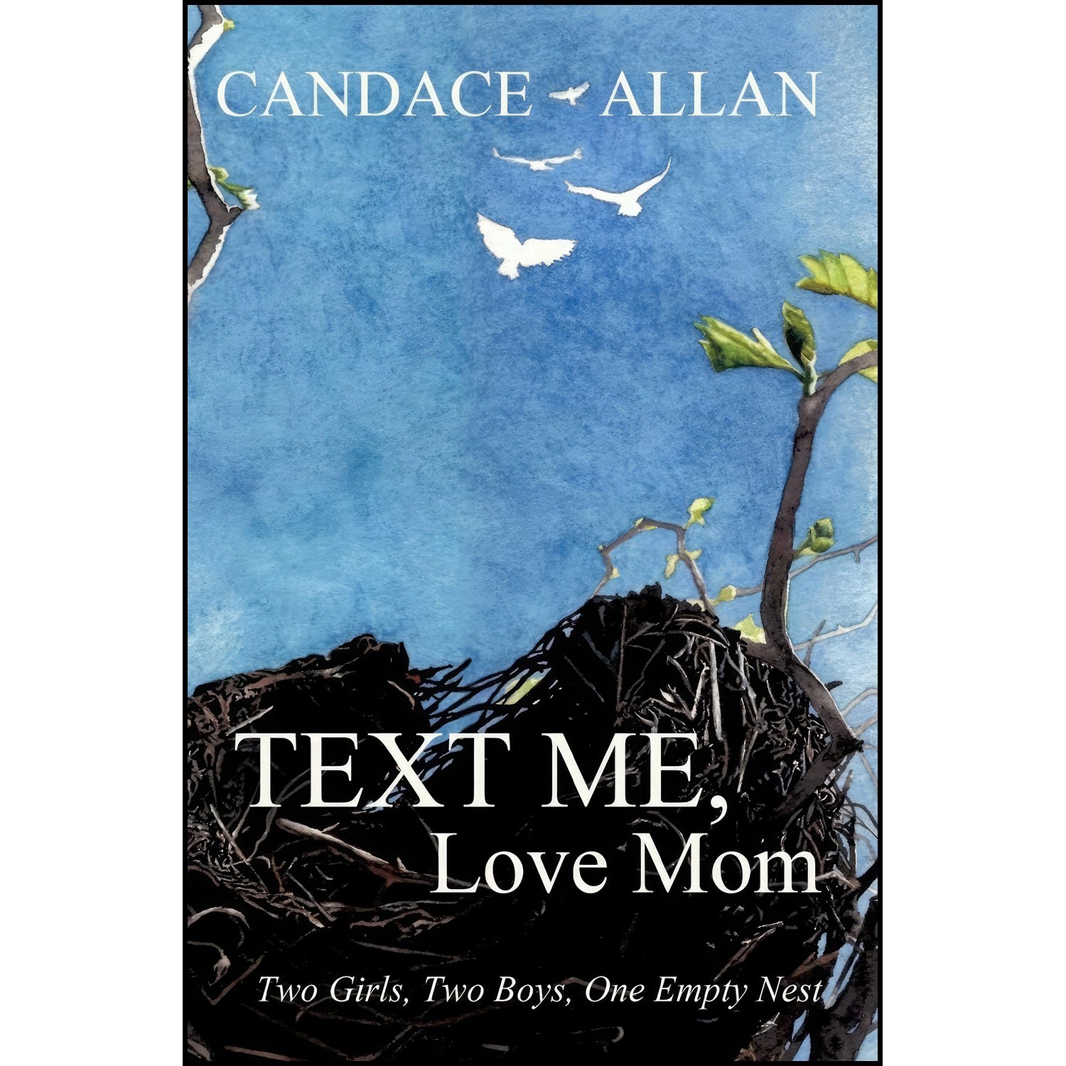 کتاب زبان اصلی Text Me Love Mom اثر Candace Allan